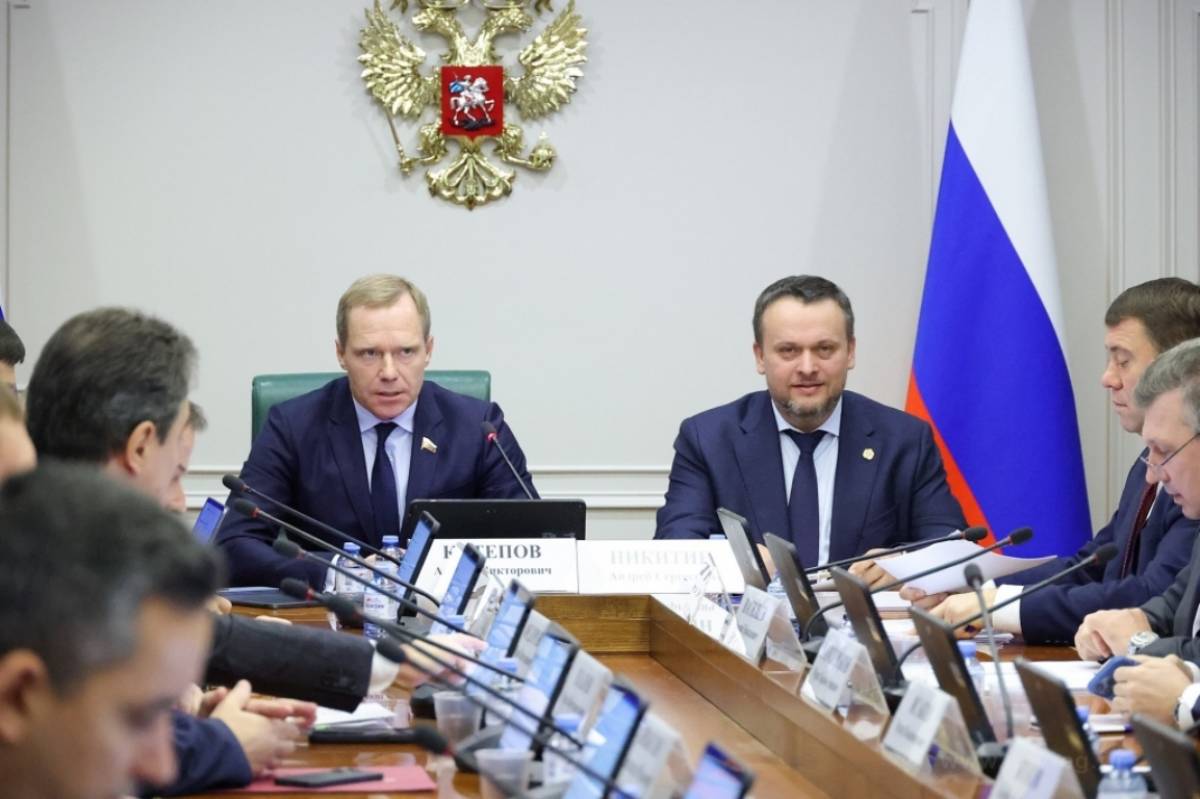 Андрей Никитин отметил, что нужно выделить из федерального бюджета субсидии на программу повышения надёжности электросетей в Новгородской области.