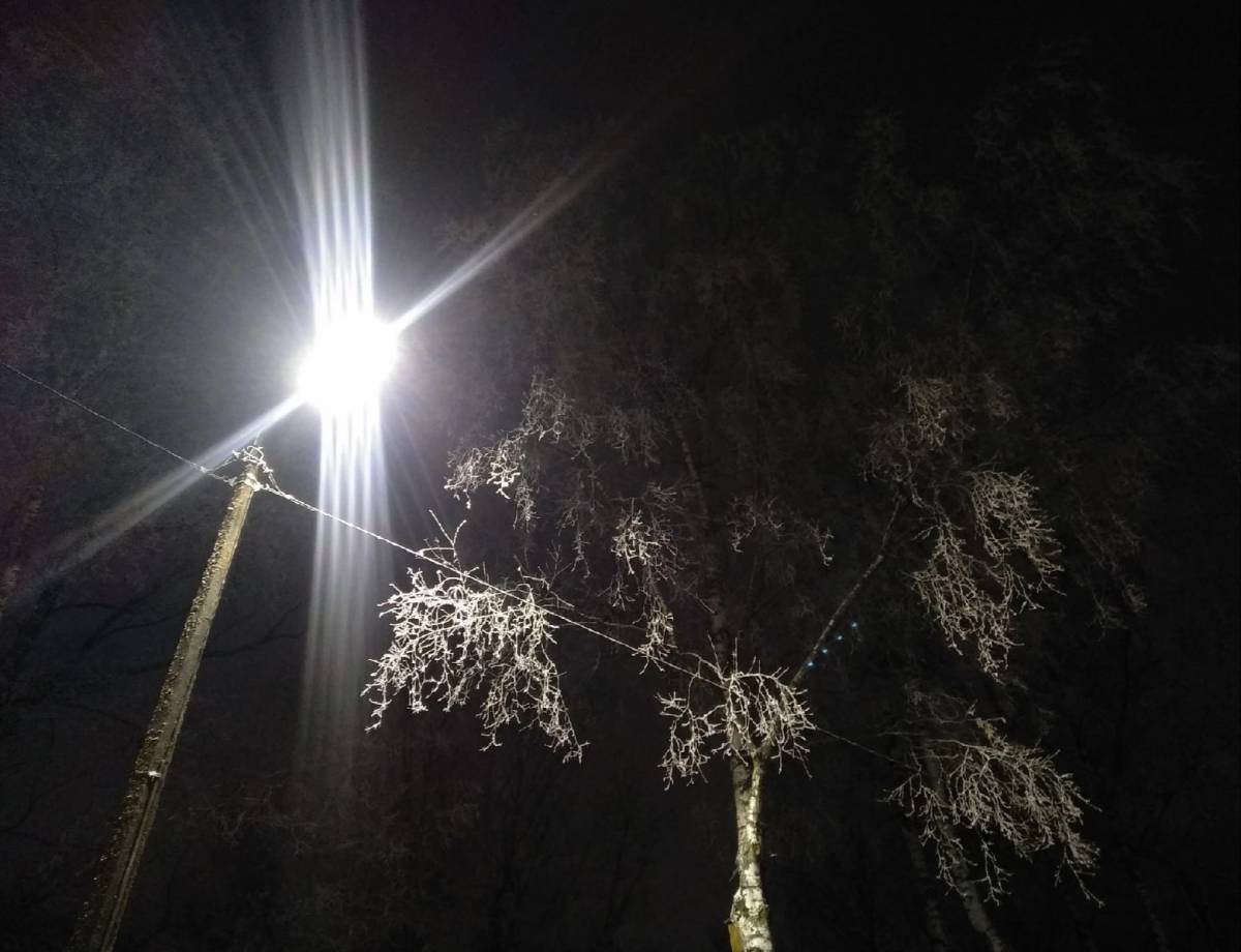 Энергетики восстановили электроснабжение в новгородской деревне Трубичино
