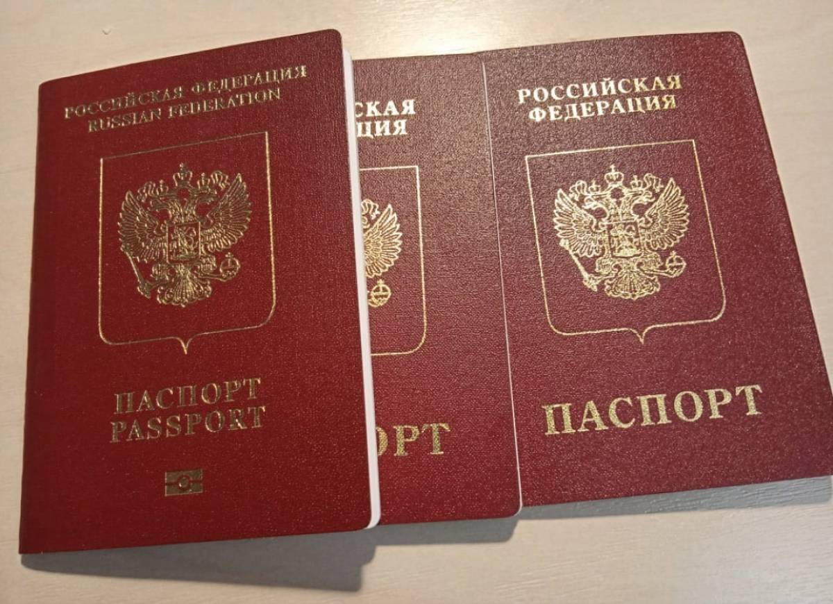 В Новгородской области вынесли первые решения о прекращении гражданства России за преступления