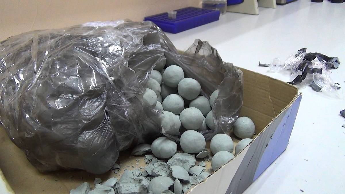 В салоне и багажнике иномарки были обнаружены свыше 860 будущих закладок с наркотиками.