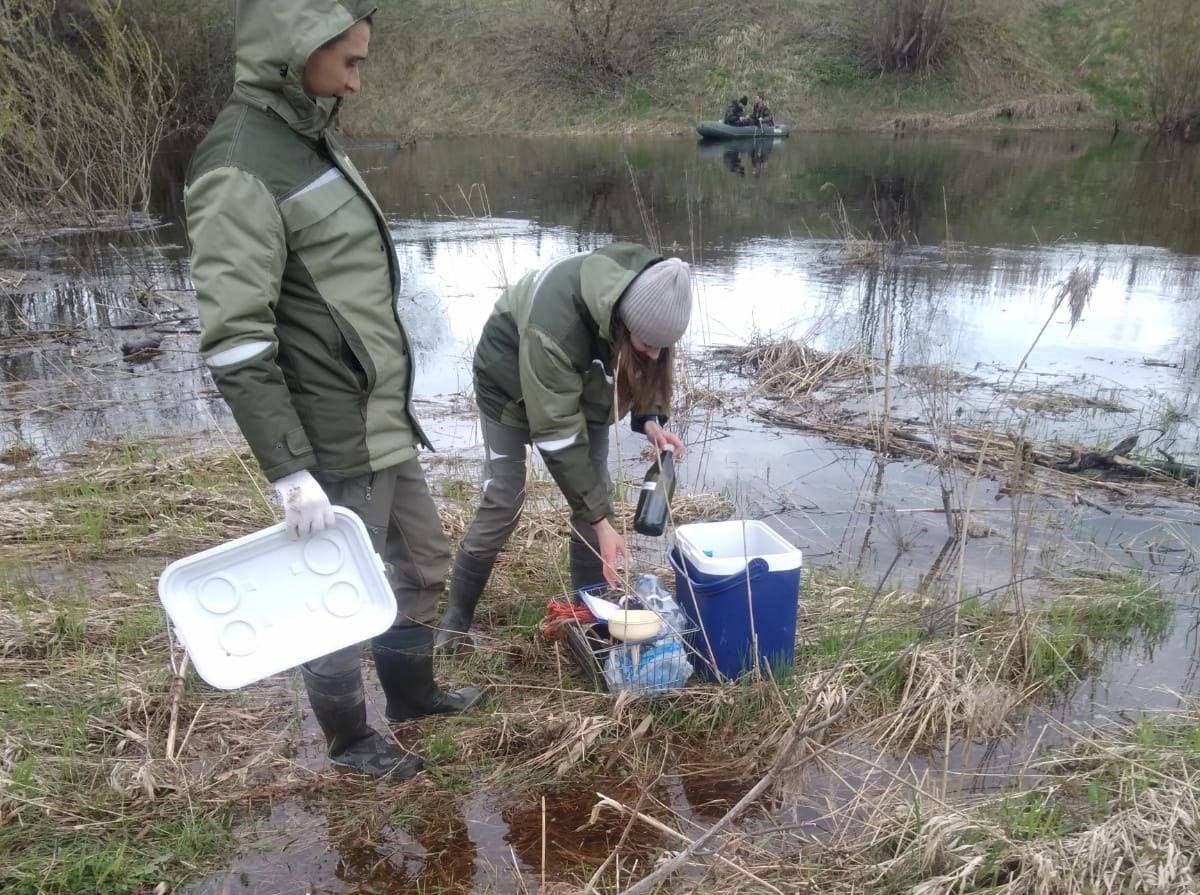 В Чудове обнаружили несанкционированный сброс сточных вод в реку Кересть
