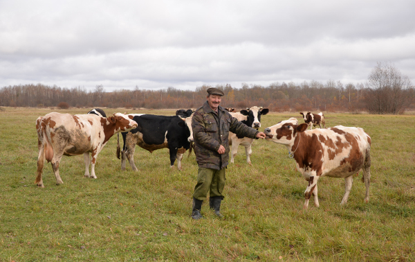 Василий Крупеня: «Благодаря гранту мы купили сельхозтехнику, построили скотный двор и увеличили поголовье»