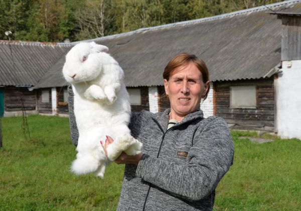 Сейчас в хозяйстве Лилии Резник более 1300 кроликов, но фермер мечтает о сыроварне