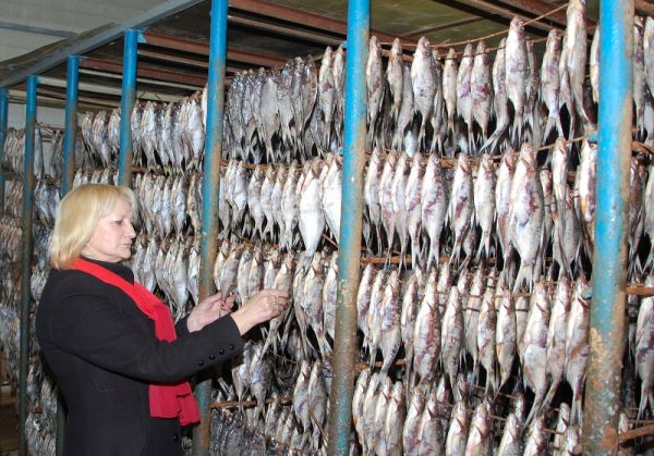 Переработка рыбы — одна из задач, которую решает некоммерческое партнёрство