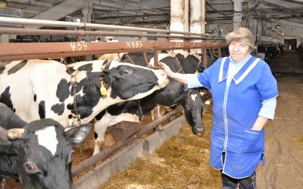 Валентина Иванова: «Я люблю свою работу на ферме. А это очень важно»