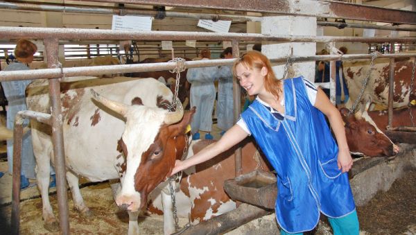 Развитие молочного животноводства — важнейшее направление в сельском хозяйстве региона