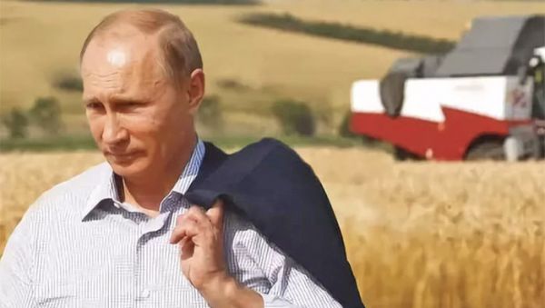 Владимир Путин настаивает, чтобы целевые субсидии без проволочек доводились до сельхозпроизводителей