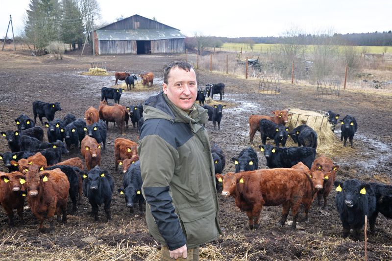 Николай Проценко: «Мясной бизнес мне интересен».