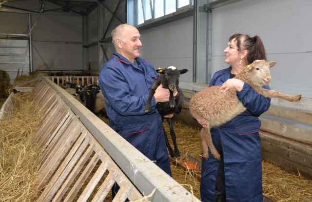 С этого года грант в номинации «Семейная ферма» могут получить и хозяйства, занимающиеся овощеводством и овцеводством.