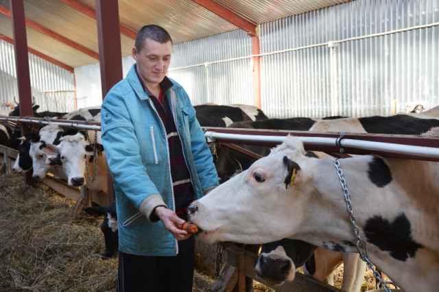 «При такой большой поддержке государства хочется развивать молочное животноводство», — говорит фермер Михаил Рустейко из Новгородского района