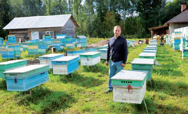 Антон Жеребцов: «В пчеловодстве преуспевают одержимые люди».