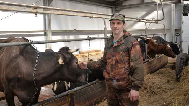 Игорь Лаврентьев: «Мне интересно и выгодно заниматься молочным животноводством».