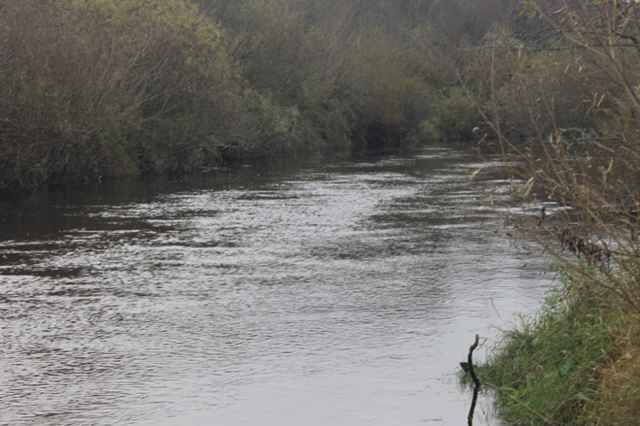 По мнению специалистов-гидрологов, реку Явонь можно укротить.