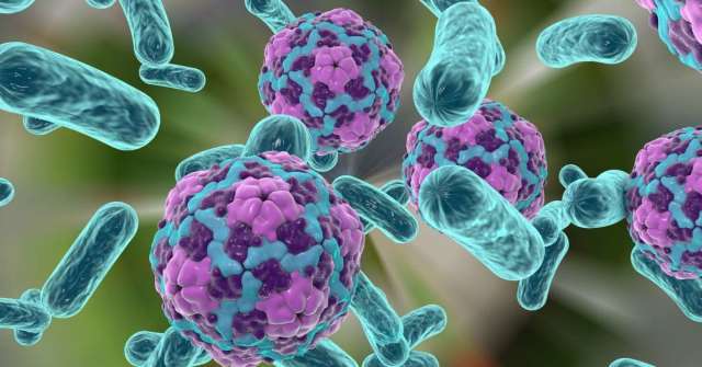 Могут ли вирусы и бактерии вызвать рак?
