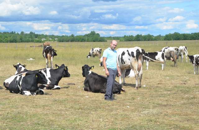 У Батыра Аманмырадова из деревни Чёрное Батецкого района сейчас в стаде 53 головы КРС. За 10 месяцев текущего года от дойных коров он получил 156 тонн молока.