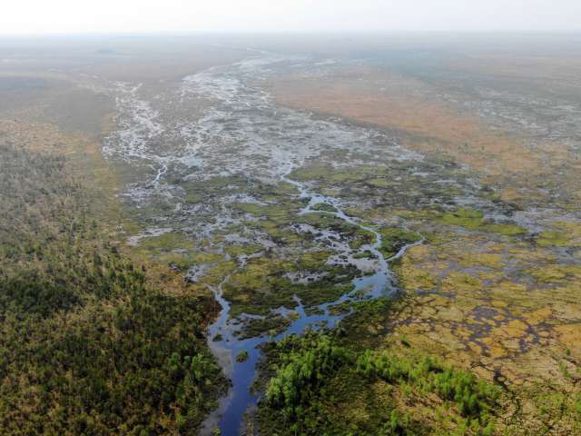 Рдейские болота с высоты птичьего полёта — фотография сделана с помощью квадрокоптера.