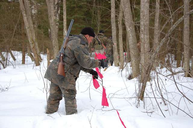 Зимняя облавная охота с флажками — один из самых эффективных способов добычи волков.
