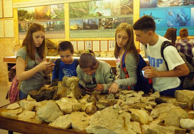 Все экспонаты музея палеонтологии — окаменелости кораллов, морских лилий, различных моллюсков — собраны на берегах Мсты.