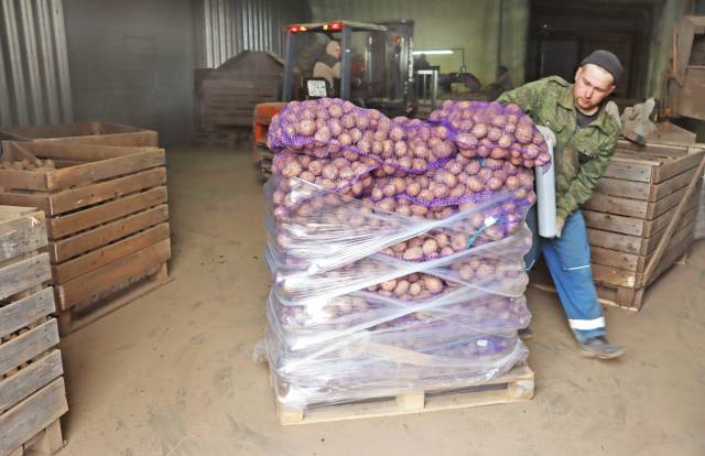Фермерская картошечка пользуется спросом в крупных сетевых компаниях.