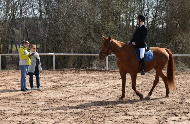Спортсмен верхом на лошади должен внимательно слушать задания судей, чтобы их правильно выполнить.