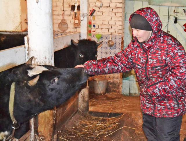 Выездное обучение «Школы фермера» набора 2021 года в деревне Бор Шимского района — на базе КФХ Розы Андриановой.