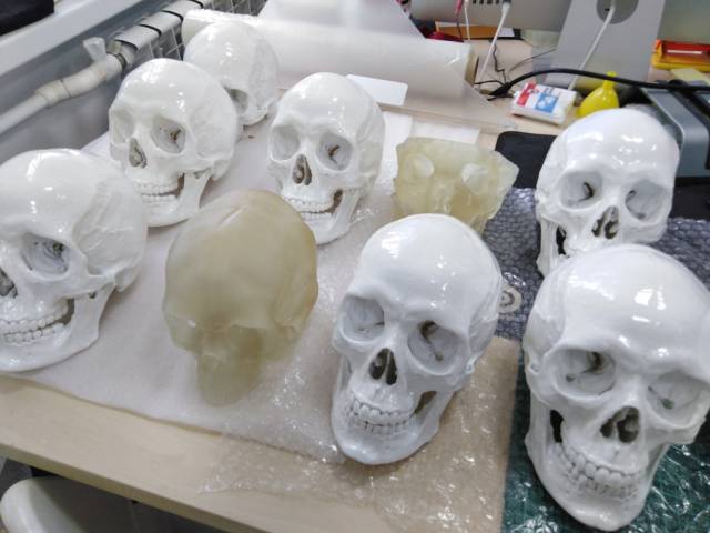 3D-модель из прозрачного полимера позволяет детально рассмотреть  естественные пустоты и тончайшие каналы человеческого черепа, а белая версия имеет маркерное покрытие.