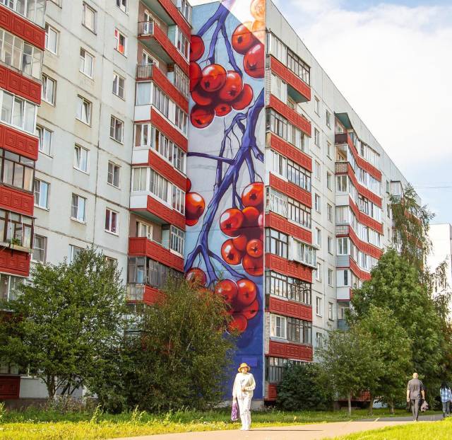 В Западном микрорайоне города яркие гроздья рябины радуют новгородцев на улице Кочетова.