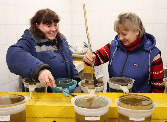Для директора Елены Степановой (слева) и главного рыбовода Ирины Чаричанской Никольское – родное село, а завод – родное предприятие.