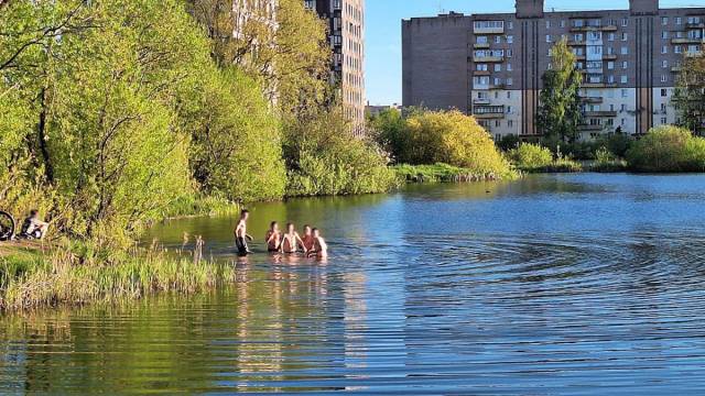 В Великом Новгороде в парке «Чистые пруды», где не разрешено купаться, уже заметили первых любителей опасного отдыха.