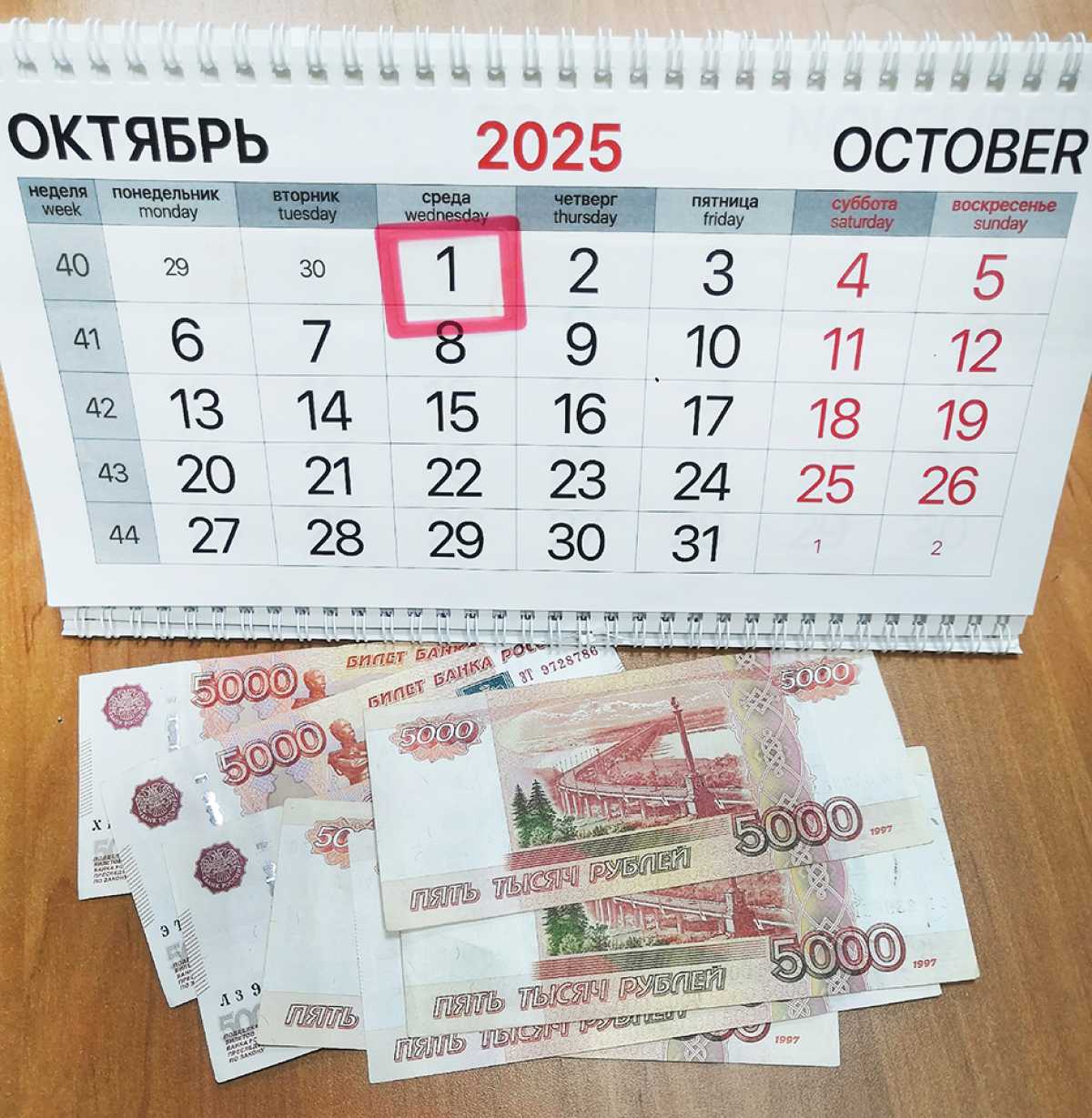 Какие новые законы заработают в России в октябре