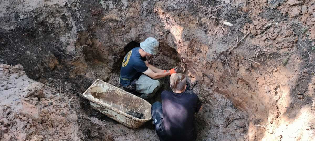 Санитарный эшелон