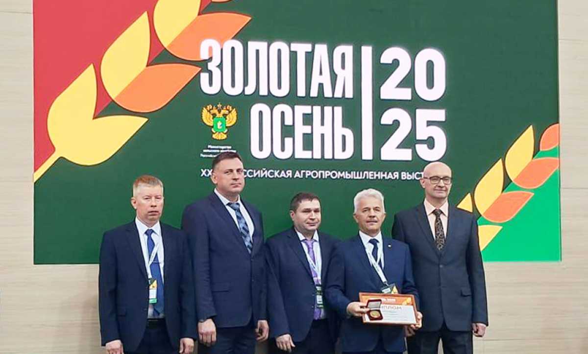 Проекты Новгородской области получили две золотых и одну бронзовую медали.