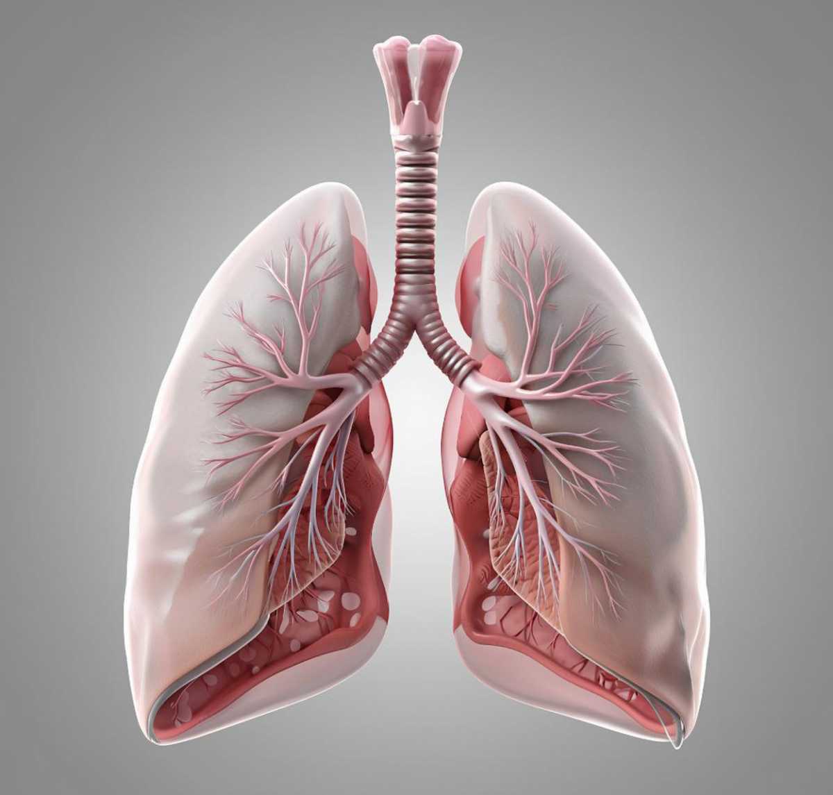 Каковы факторы риска заболевания раком лёгкого