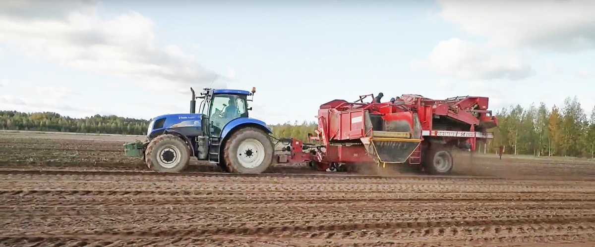 Лидеры производства