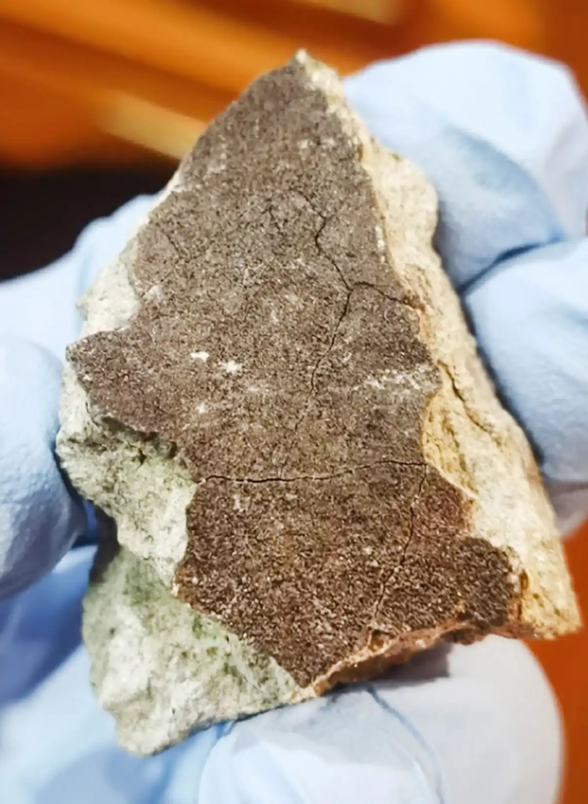 Обломок метеорита, найденный в Окуловском районе, исследовали в лабораторных условиях.