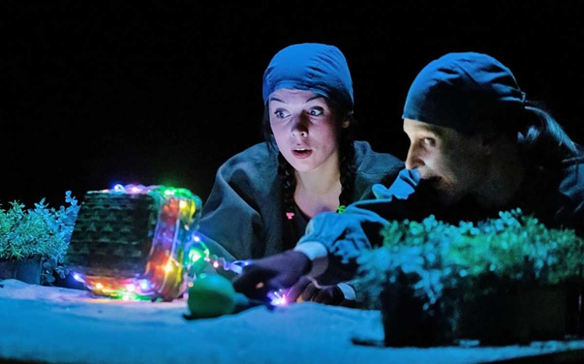 Спектакль «Потеряшки» новгородского театра «Малый» получил приз за лучшую режиссуру на «Кроха-фесте» в Пскове.