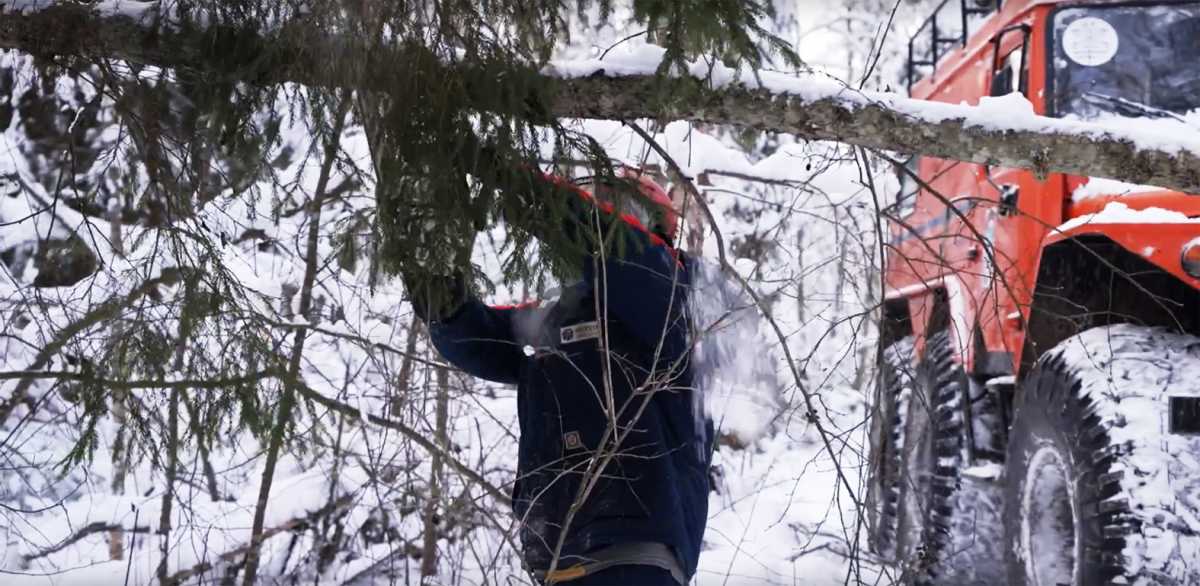 Больше света