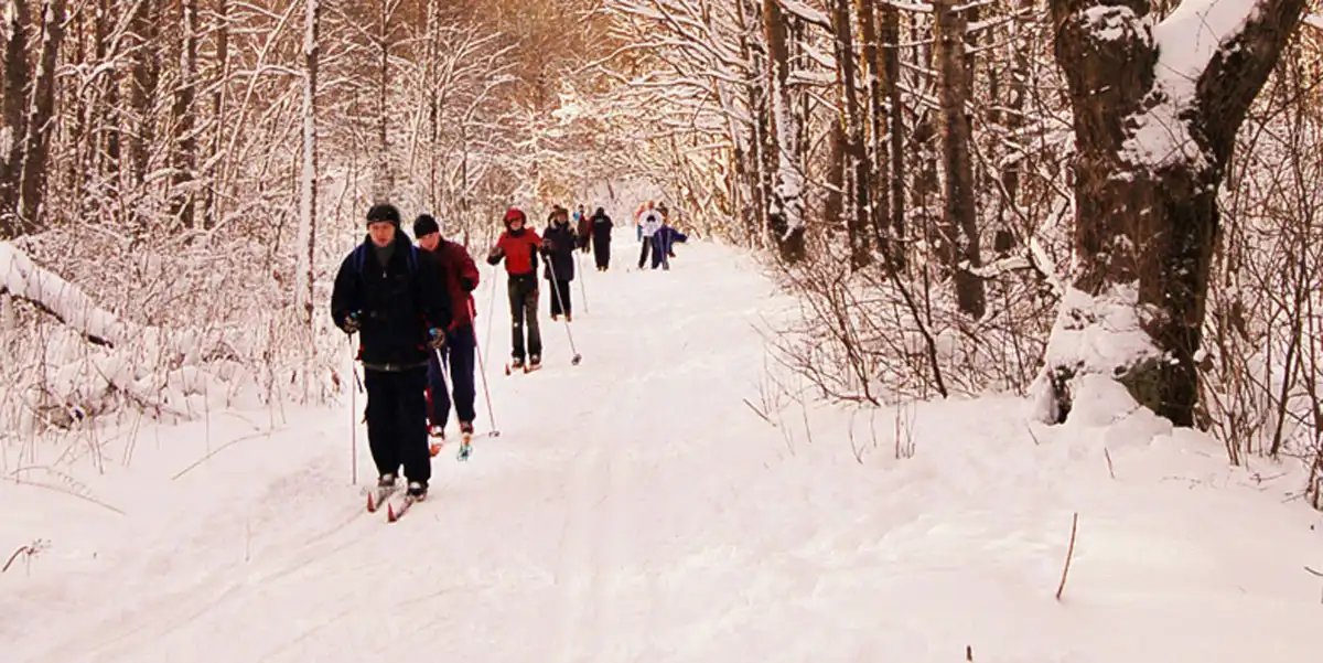 Помимо правильного питания, нормализовать вес помогут занятия с кардионагрузкой — например, лыжные прогулки.