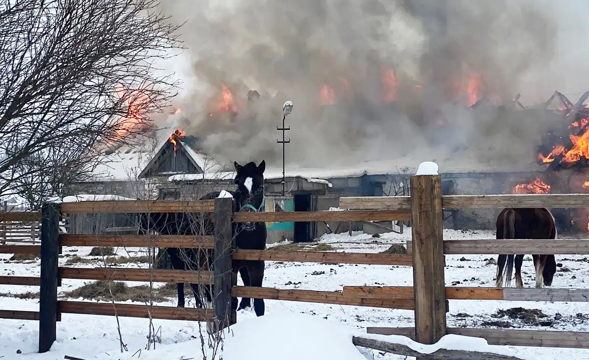 Огонь по зданию конюшни распространился почти молниеносно, а вот восстановление быстрым не будет.