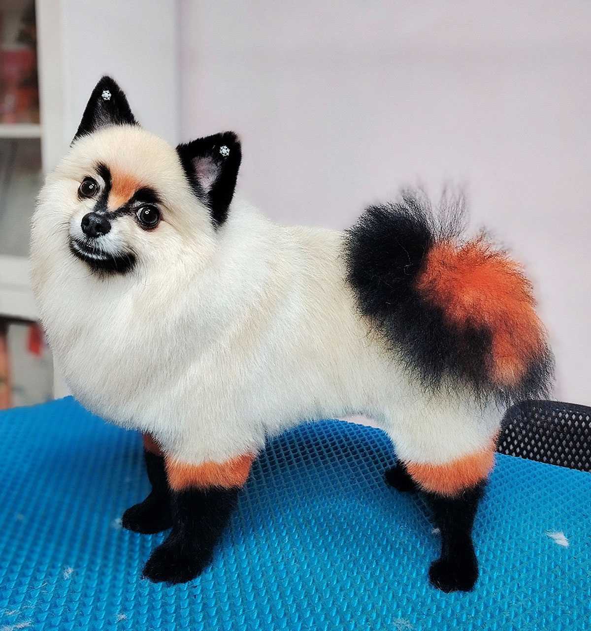 Игрушка, а не зверь