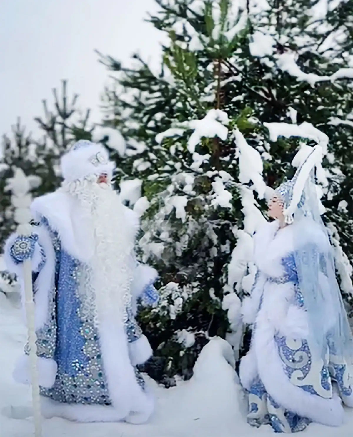 Муниципальный бренд «Хвойная – родина новогодней ели» поддержали эксперты областной профильной комиссии.