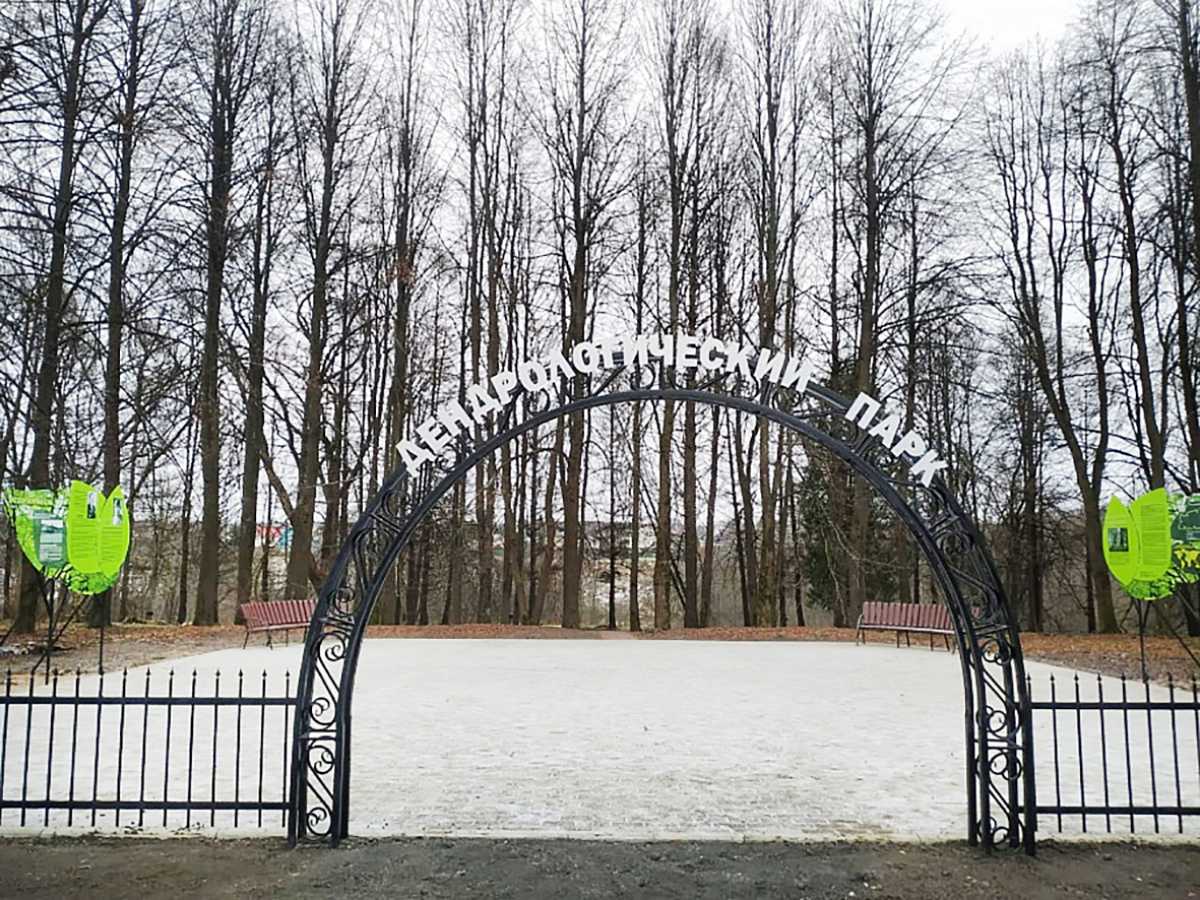 Главное — хвост