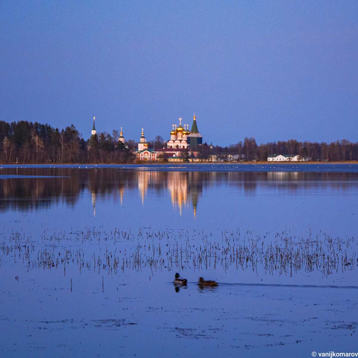 Проект очистки берегов Валдайского озера планируют разработать к концу 2026 года.