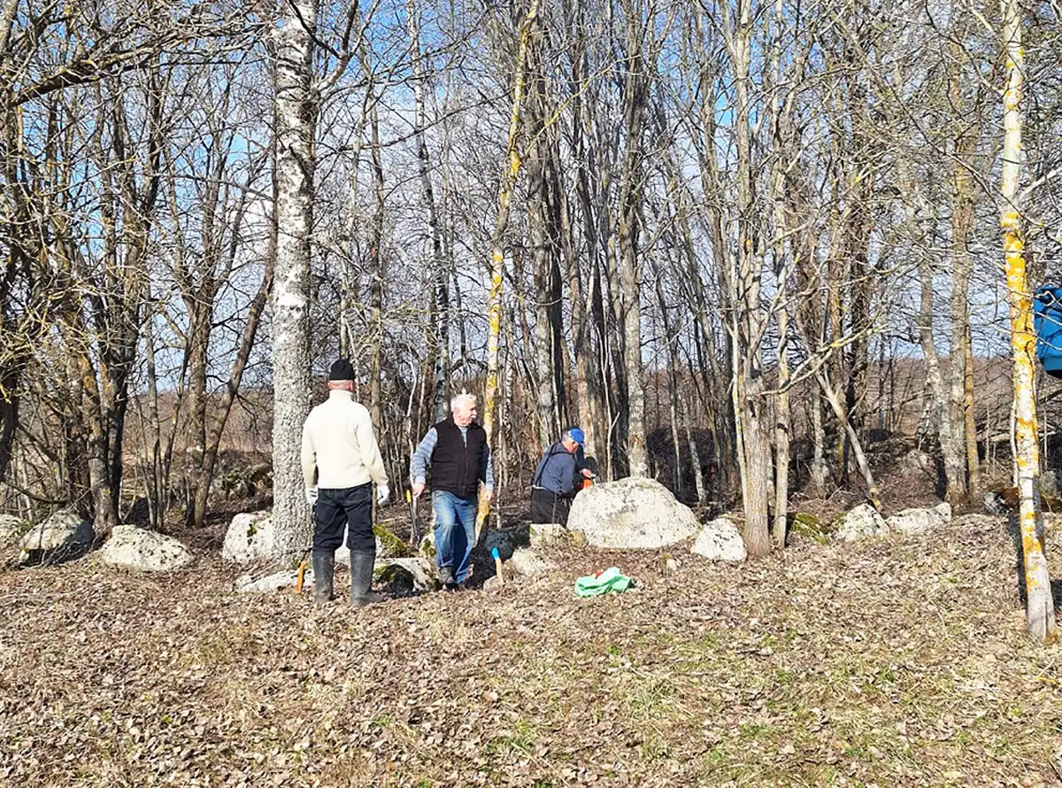 Тосовцы подготавливают археологический памятник к дальнейшему благоустройству.