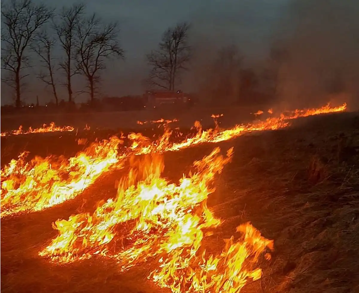 Из-за травяных пожаров может вспыхнуть и человеческое жильё.
