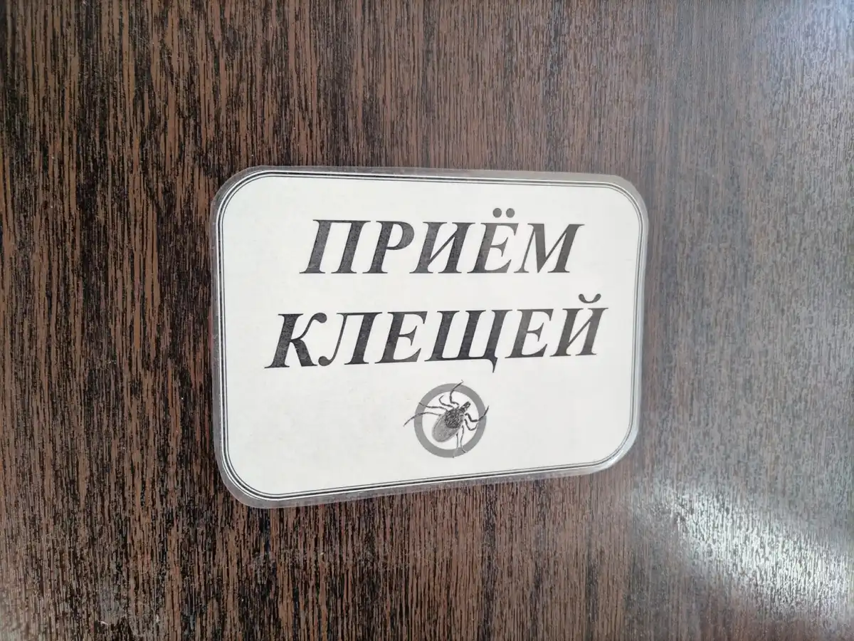 Не следует снимать присосавшегося клеща самостоятельно — необходимо обратиться к медикам.