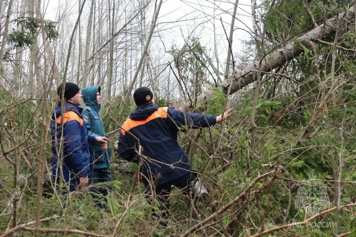 В зоне отключения