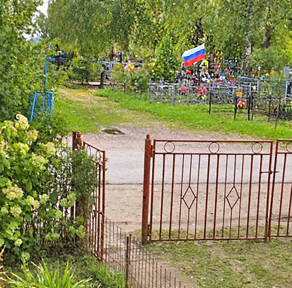 «Доброе утро, сынок!»