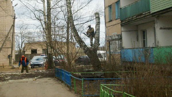 Новгородский район. Удаление фаутных деревьев на территории ТОС