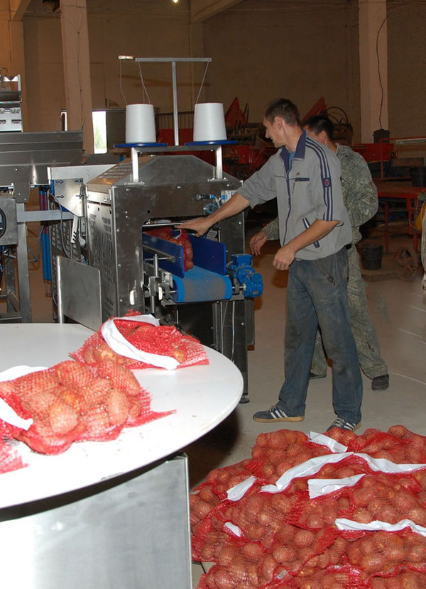 Ежедневно в логистическом центре готовят к реализации 10–12 тонн овощей